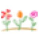Wineflowers